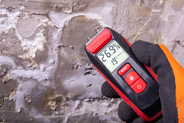 Best Water Damage Restoration  in Mountain Iron, MN