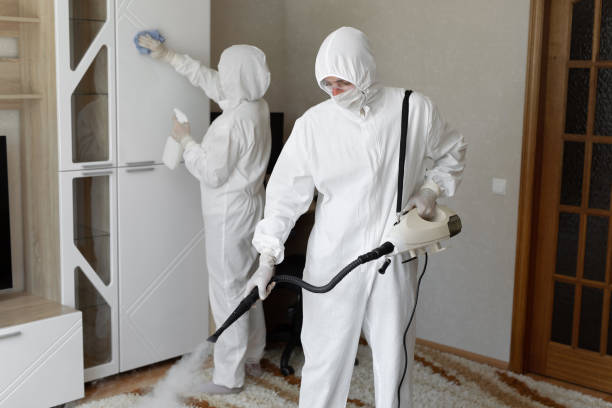 Best Toxic Mold Removal  in Mountain Iron, MN